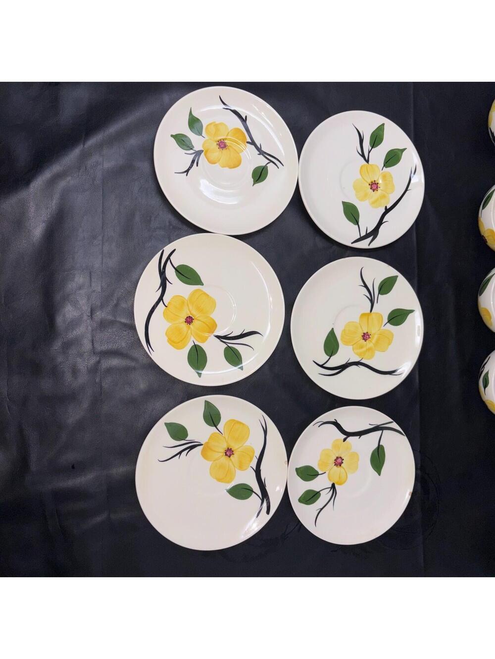 6 Blue Ridge Southern Pottery Dogwood Yellow Flowers Cups & Saucer Plates - Picture 2 of 10